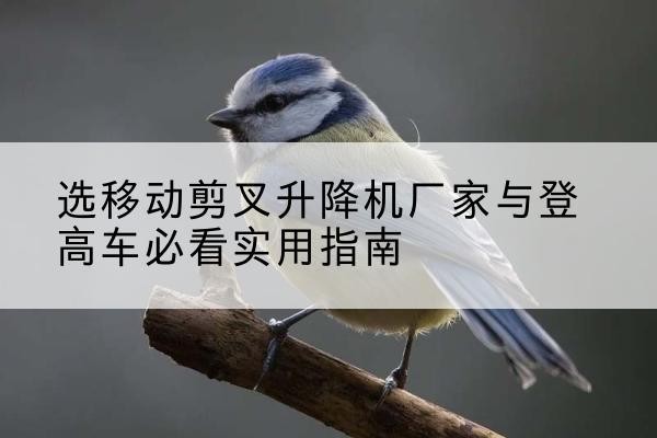 西峡电动升降机厂家-选移动剪叉升降机厂家与登高车必看实用指南