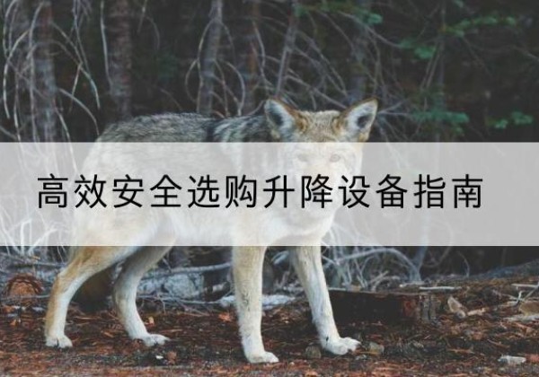 西峡升降货梯厂家推荐-*安全选购升降设备指南