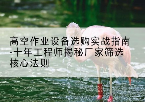 西峡剪叉式升降机厂家-高空作业设备选购实战指南-十年工程师揭秘厂家筛选核心法则